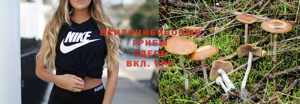 spice Баксан